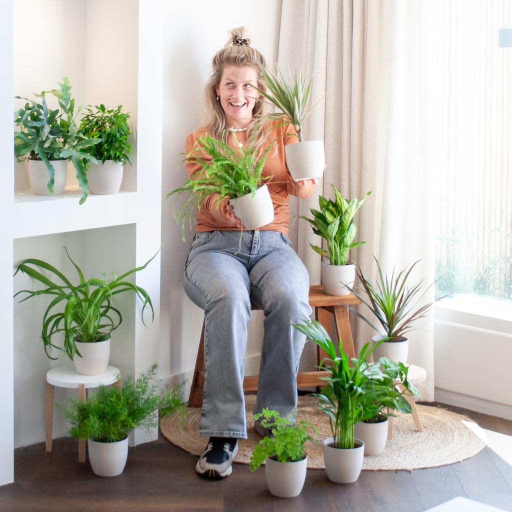 Green Misfitbox (12 pieces) - incl. 12 x pot Viber white. Vrouw met kamerplanten in witte potten, zittend in lichte ruimte.