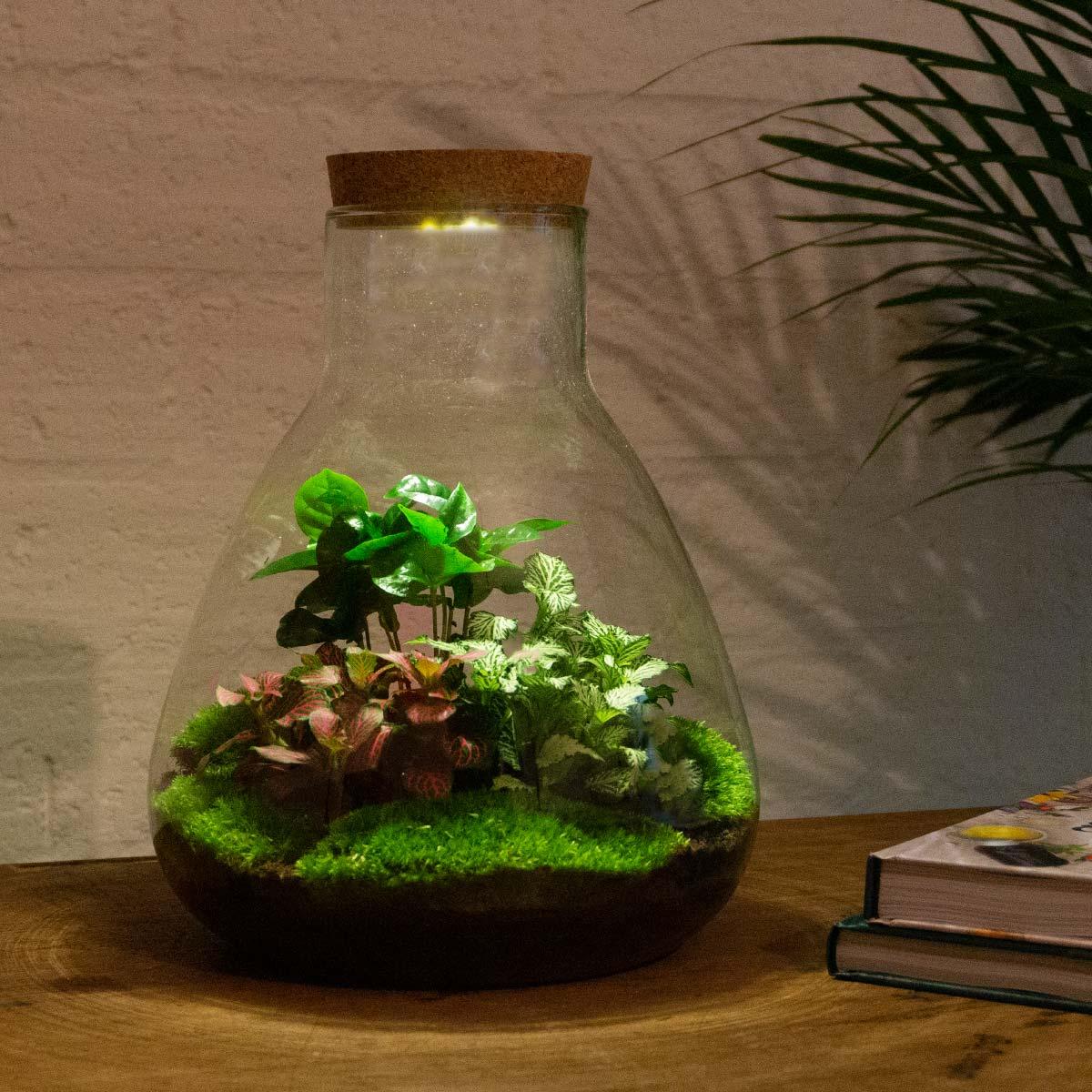 Terrarium met LED Verlichting