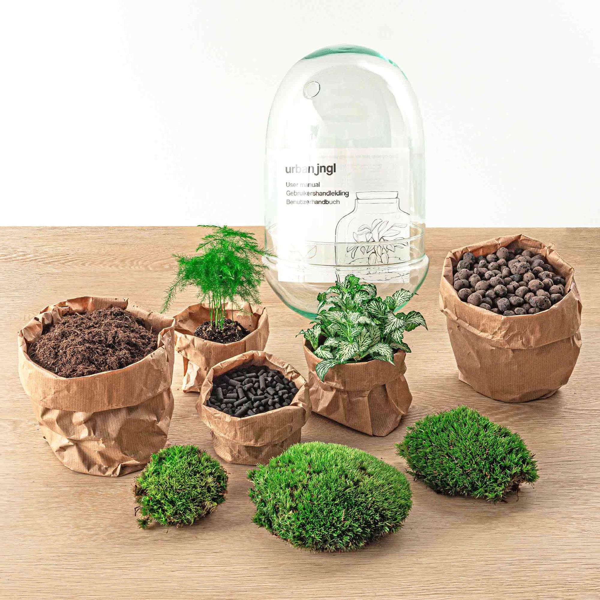 DIY terrarium - Egg XL - ↕ 30 cm with various plants, soil, and pebbles in brown paper bags on wooden table.