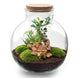 Terrarium