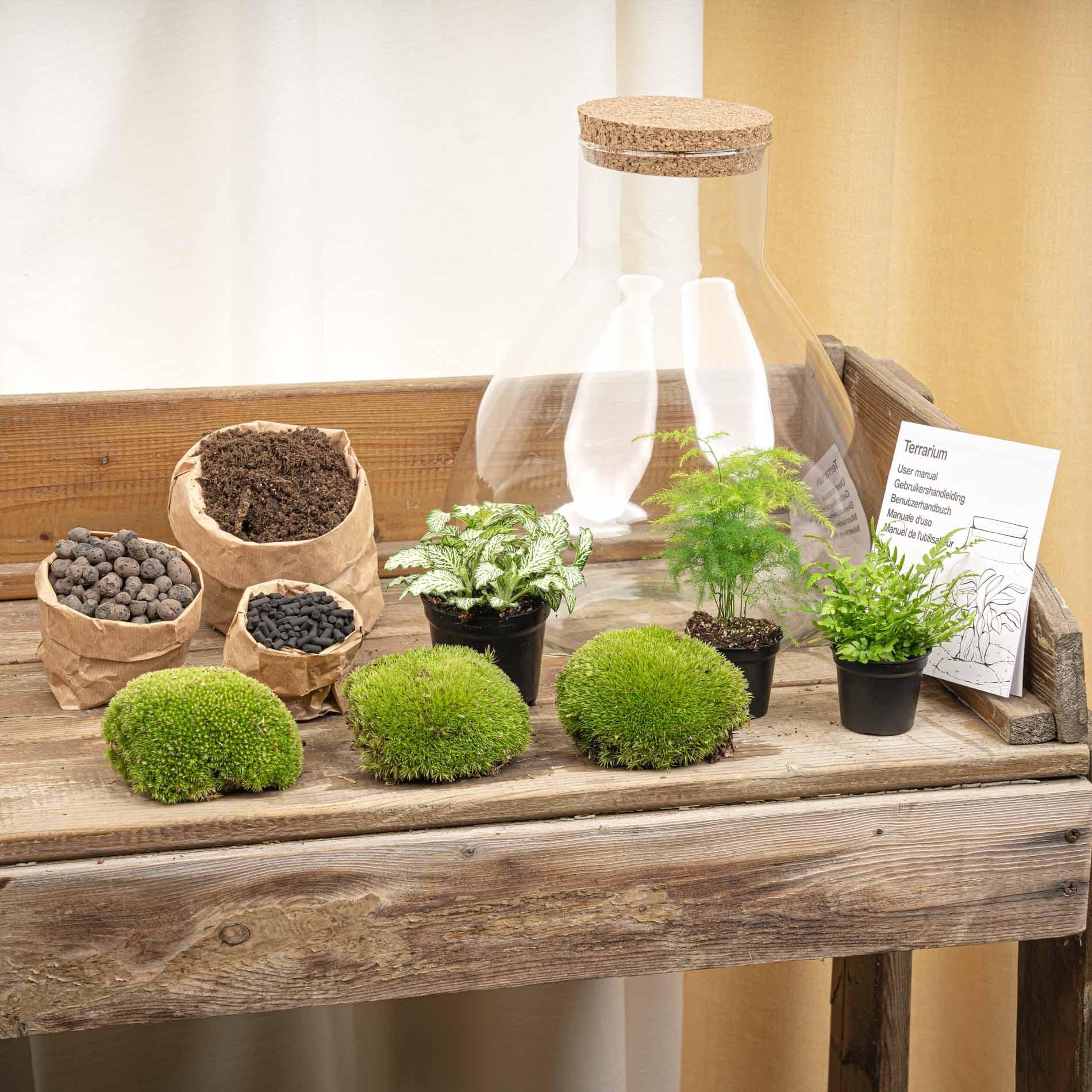 Terrarium - Sam XL + LED - ↑ 32 cm - DIY met potten aarde, grind en groene planten op houten tafel.