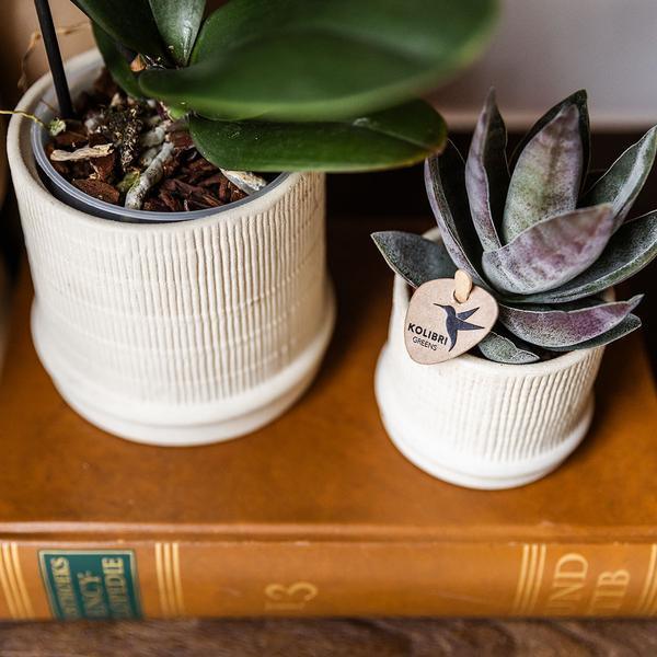 Kolibri Home | Bali sierpot - Off White - Ø9cm
