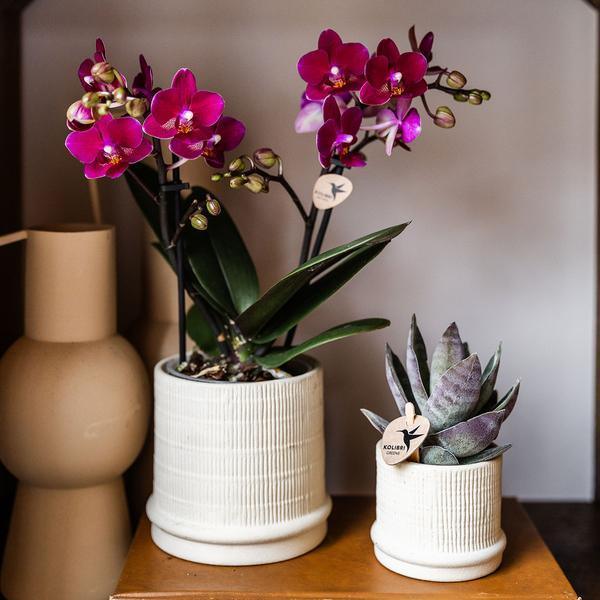 Kolibri Home | Bali sierpot - Off White - Ø6cm