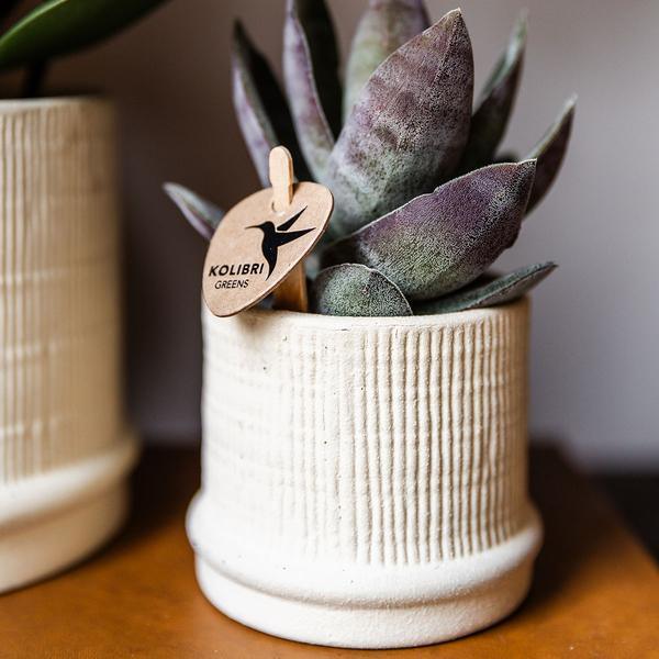 Kolibri Home | Bali sierpot - Off White - Ø6cm
